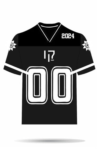 LINES NFL JERSEY - view 3